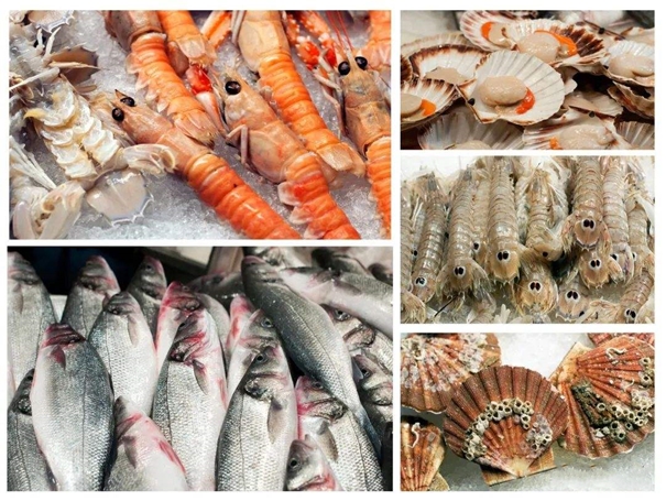 湛江海鮮報關公司哪家好湛江水產品報關 湛江海鮮報關公司哪家好湛江水產品報關