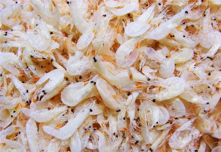 進口蝦皮清關公司告訴你蝦皮報關清關注意事項 進口蝦皮清關公司告訴你蝦皮報關清關注意事項