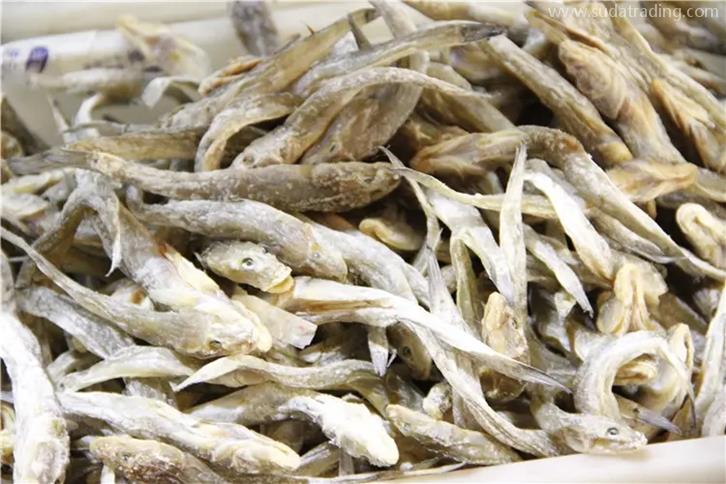 海鮮干進口報關公司推薦海鮮干報關代理公司哪家好