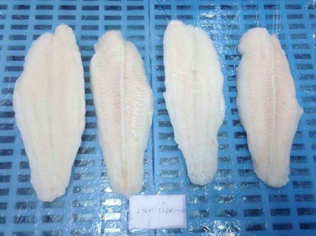 越南冰凍巴沙魚片進口報關_一般貿易代理服務案例