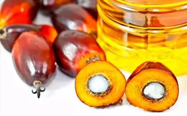 你要了解的進口棕櫚油清關的流程在這里