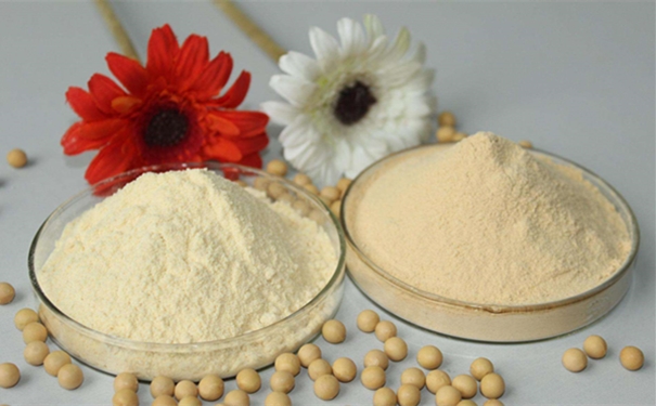 青島食品原料進口清關進口食品基本流程 青島食品原料進口清關進口食品基本流程