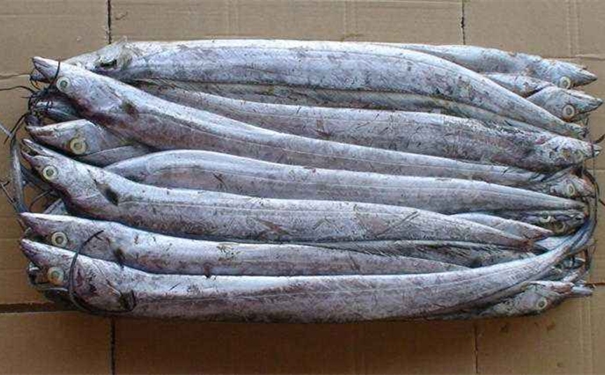 巴基斯坦白帶魚進口報關所需文件以及流程 巴基斯坦白帶魚進口報關所需文件以及流程