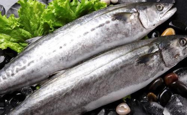 冷凍水產品進口報關如何辦理相關的資料 冷凍水產品進口報關如何辦理相關的資料