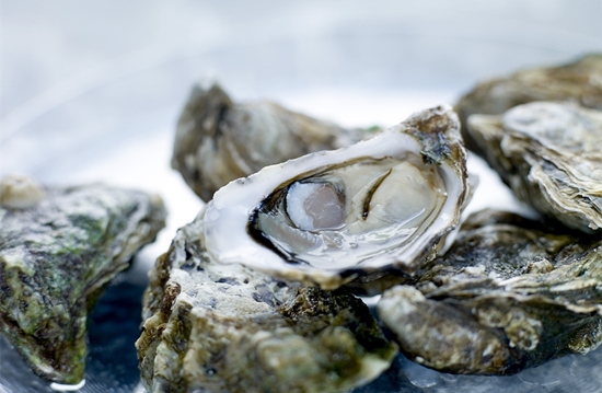 生蠔進(jìn)口清關(guān)代理的相關(guān)流程/資料大全 生蠔進(jìn)口清關(guān)代理的相關(guān)流程/資料大全