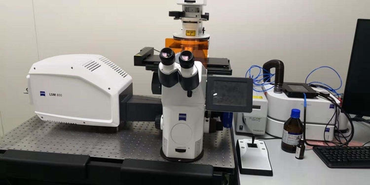 報關(guān)指南!環(huán)境科研設(shè)備進口報關(guān)手續(xù)流程與注意事項