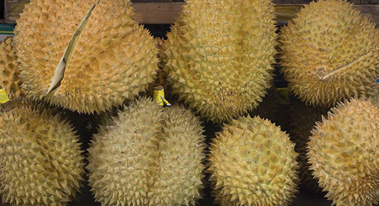 泰國進口榴蓮報關的注意事項，你一定要了解的