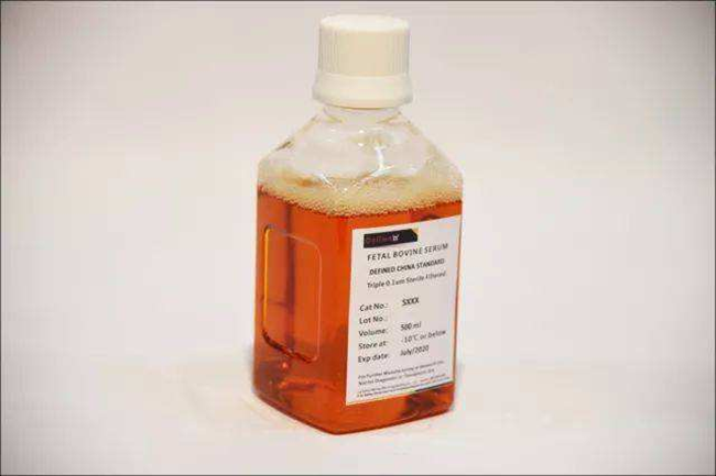 胎牛血清進口清關(guān)代理一站式服務(wù)公司 胎牛血清進口清關(guān)代理一站式服務(wù)公司