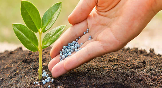 超實用!農作物肥料進口清關流程以及單證資料 超實用!農作物肥料進口清關流程以及單證資料
