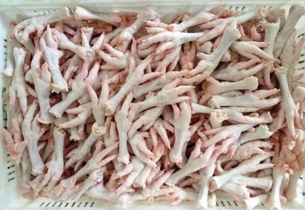 雞爪清關進口代理注意事項看這里啦