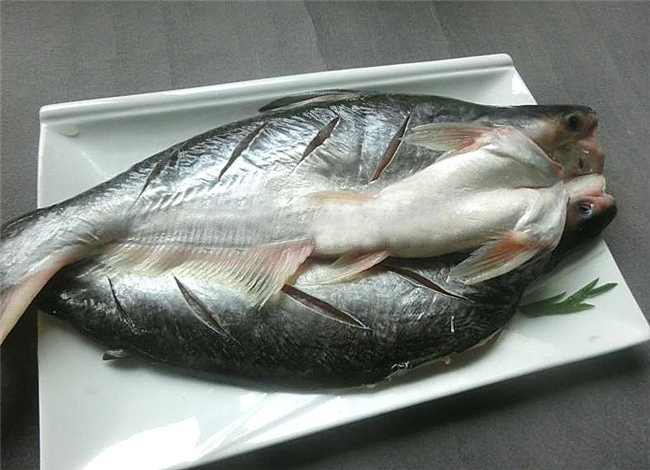 指導(dǎo)!初次冷凍巴沙魚進(jìn)口報(bào)關(guān)應(yīng)該這樣做 指導(dǎo)!初次冷凍巴沙魚進(jìn)口報(bào)關(guān)應(yīng)該這樣做