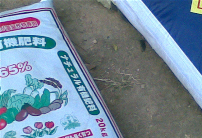 化肥進口報關流程手續等相關知識解答 化肥進口報關流程手續等相關知識解答