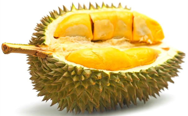 進口馬來西亞榴蓮清關要注意什么呢 進口馬來西亞榴蓮清關要注意什么呢