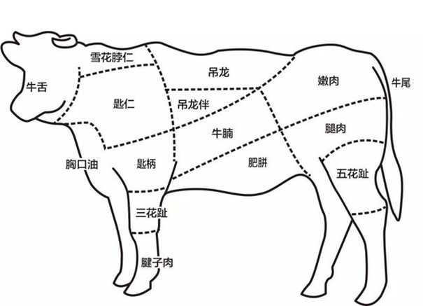 冷凍牛肉進(jìn)口報(bào)關(guān)需注意的操作細(xì)節(jié) 冷凍牛肉進(jìn)口報(bào)關(guān)需注意的操作細(xì)節(jié)