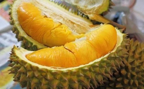 進口馬來西亞榴蓮清關為大家講解3大重要內容 進口馬來西亞榴蓮清關為大家講解3大重要內容