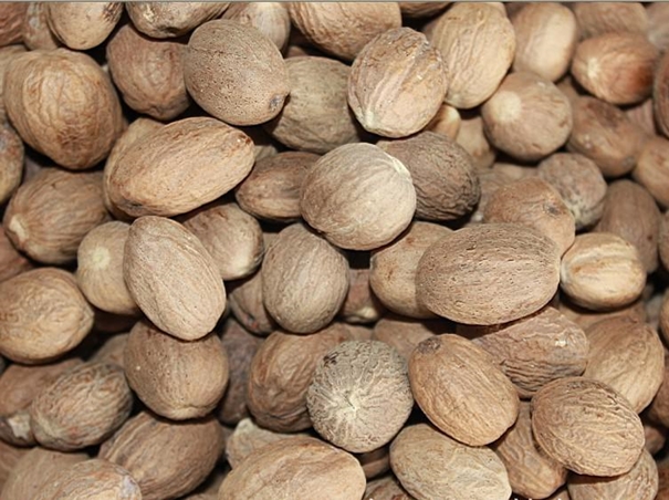 寧波港進(jìn)口肉豆蔻通關(guān)一站式進(jìn)口代理 寧波港進(jìn)口肉豆蔻通關(guān)一站式進(jìn)口代理