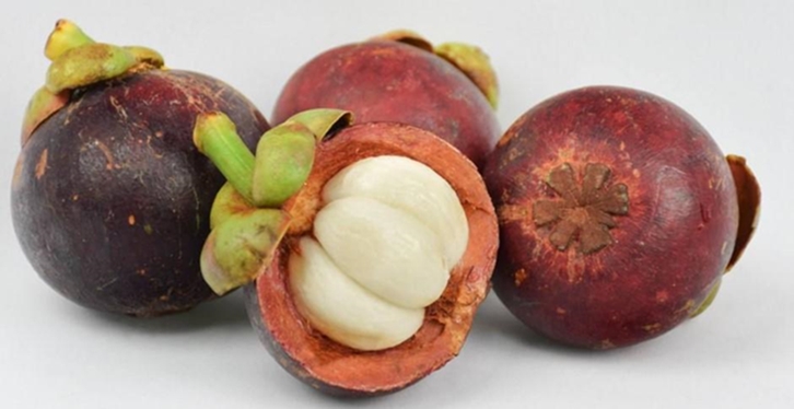 【馬來西亞山竹進口清關代理公司】指導您如何進口山竹 【馬來西亞山竹進口清關代理公司】指導您如何進口山竹