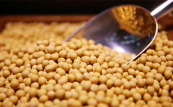 【大豆進口清關代理】的流程，一般貿易進口大豆