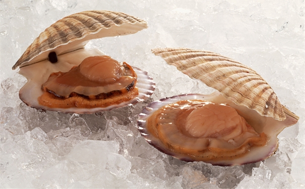 【進口扇貝清關代理】的流程，一般貿易進口扇貝