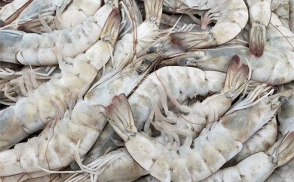 厄瓜多爾蝦仁進口清關一般貿易流程以及資料