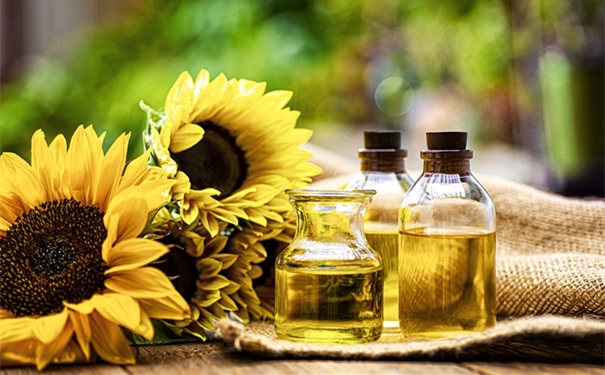 上海寵物零食進(jìn)口清關(guān)代理公司 上海寵物零食進(jìn)口清關(guān)代理公司