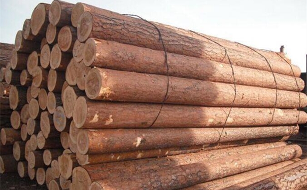 從歐洲進(jìn)口木材清關(guān)這樣做!進(jìn)口木材是這樣的 從歐洲進(jìn)口木材清關(guān)這樣做!進(jìn)口木材是這樣的