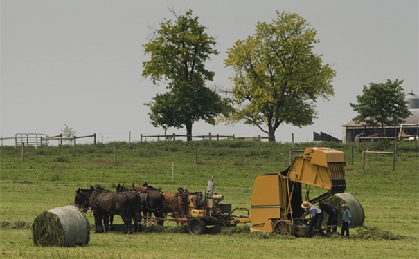 二手農用收割機進口報關報檢要點?二手收割機能進口嗎? 二手農用收割機進口報關報檢要點?二手收割機能進口嗎?