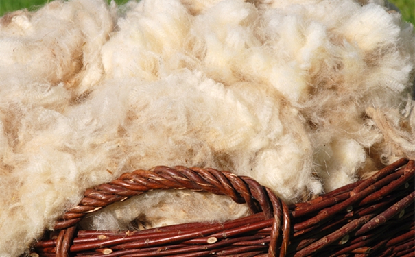 進(jìn)口羊毛報(bào)關(guān)一般貿(mào)易進(jìn)口流程是怎樣的？