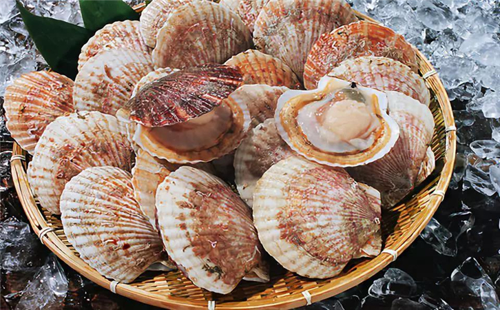 菲律賓扇貝進口報關原來沒那么復雜