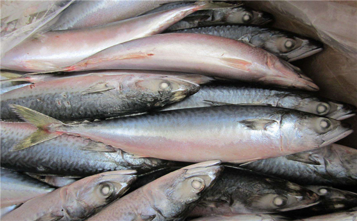 俄羅斯水產品進口報關公司,聯網助你快速通關! 俄羅斯水產品進口報關公司,聯網助你快速通關!