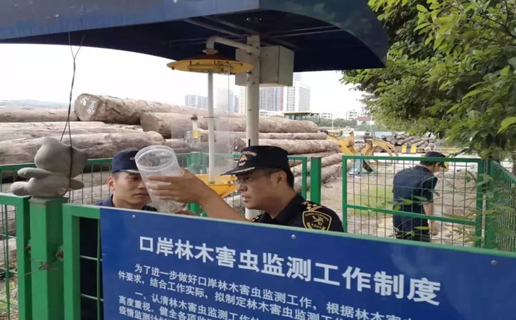 原木木材進口報關代理操作流程以及報關時間 原木木材進口報關代理操作流程以及報關時間