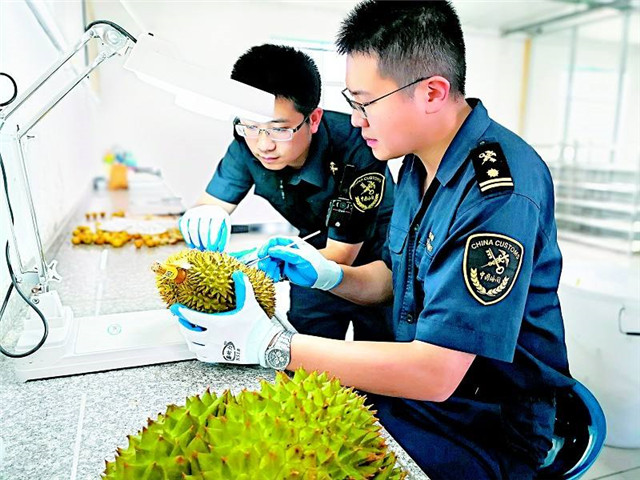 進口泰國榴蓮報關這樣操作準沒錯