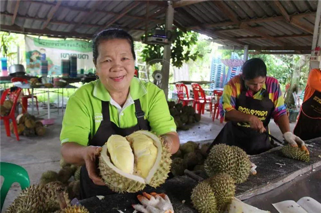 進口泰國榴蓮報關這樣操作準沒錯