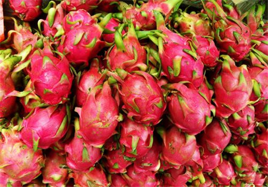 這是一家越南火龍果進口報關(guān)清關(guān)代理公司 這是一家越南火龍果進口報關(guān)清關(guān)代理公司