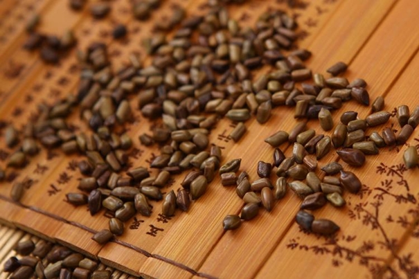 印度決明子進口清關國內手續以及資料