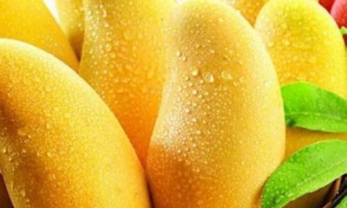 泰國芒果進口清關報關代理流程以及需要的單證資料 泰國芒果進口清關報關代理流程以及需要的單證資料