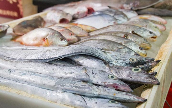 上海水產品進口報關公司