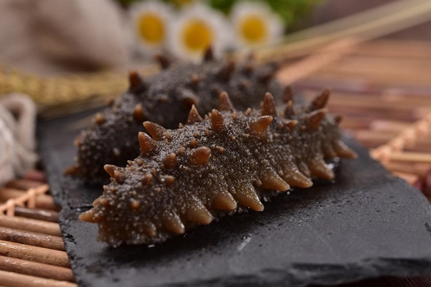 海參報關行有哪些推薦 海參報關行有哪些推薦