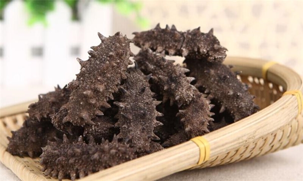 干海參進口報關有哪些是需要了解的 干海參進口報關有哪些是需要了解的