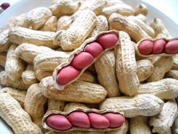 花生進口清關代理需要的資質以及資料 花生進口清關代理需要的資質以及資料