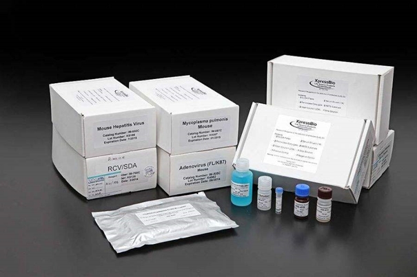 美國進口生物試劑報關(guān)常見問題，你要了解的