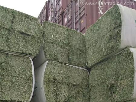 苜蓿草東莞進口清關手續(xù)文件有這些！