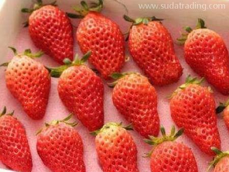 水果進口深圳專業(yè)報關公司廣東速達供應鏈！