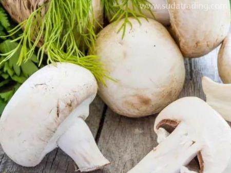 廣州機場進口清關公司代理蔬菜報關國內外資料