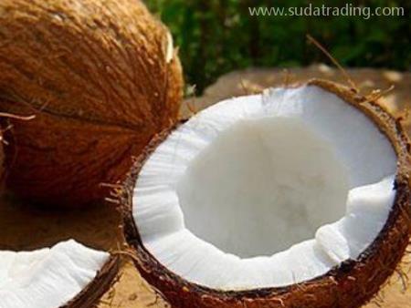 菲律賓椰子進口白云機場報關流程