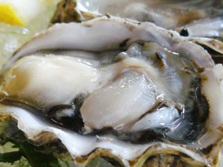 廣州清關(guān)代理公司教你生蠔進口報關(guān)操作！