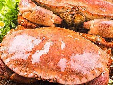 海鮮機場進口代理報關大致流程與資料