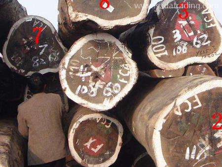 木材進口清關注意事項有這幾點，要留心！