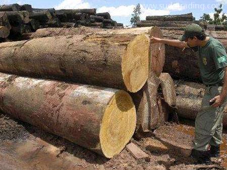 木材進口報關有這些單證資料要提交！