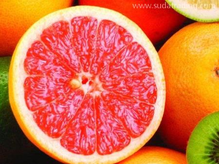 臺灣水果進口報關有這些單證資料要準備！